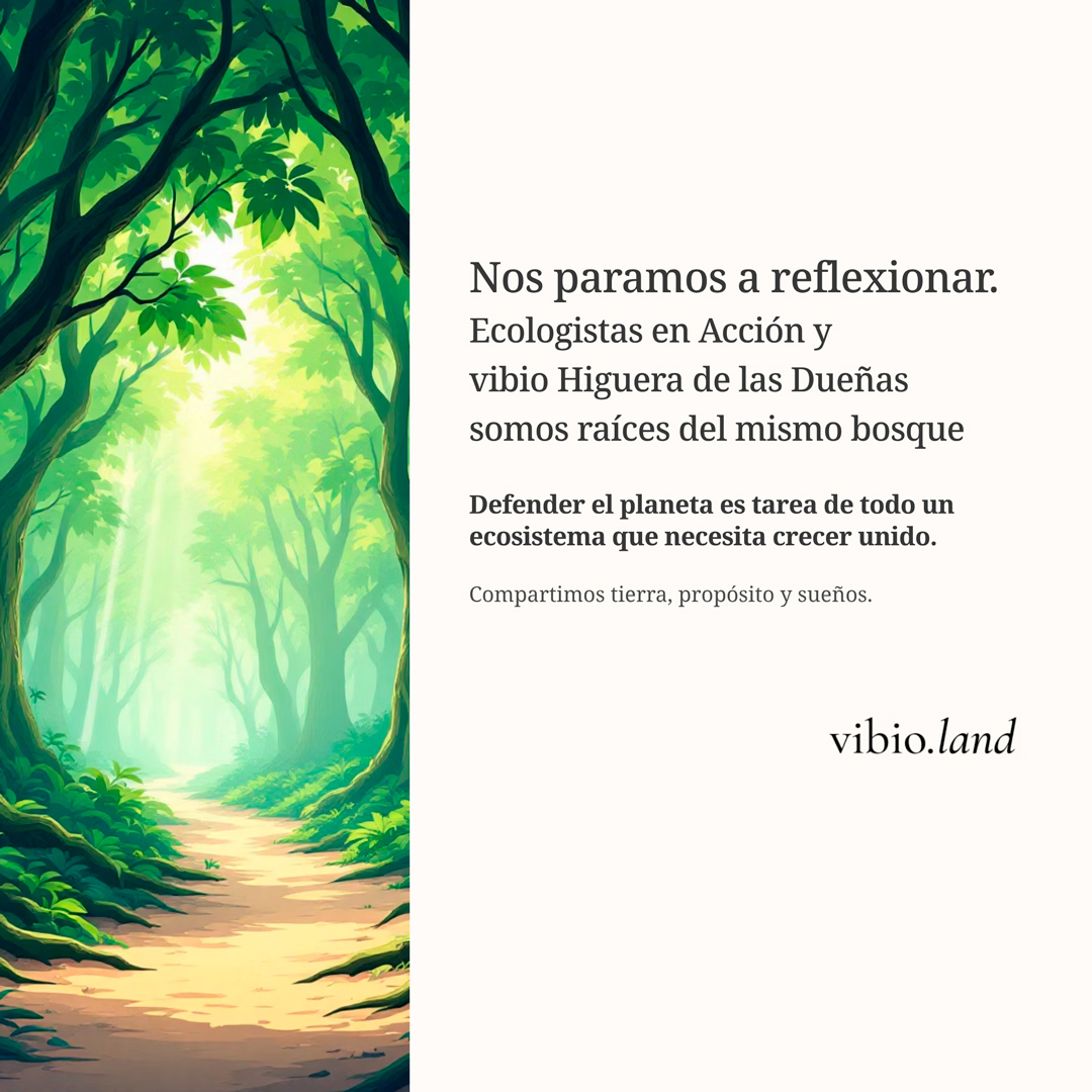 1_Nos-paramos-a-reflexionar_1