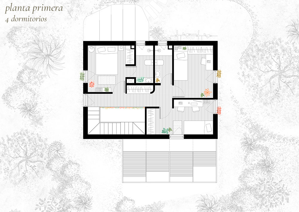 Planta 1 Op2 Mollison 115m